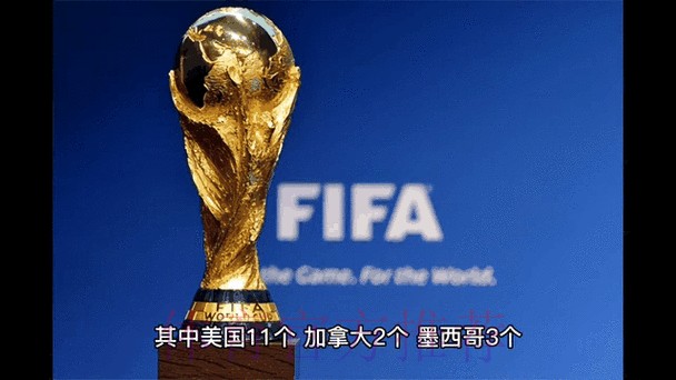 实时追踪世界杯外围赛动态